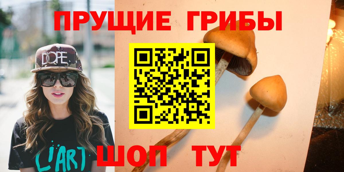 Псилоцибиновые грибы мицелий Коломна